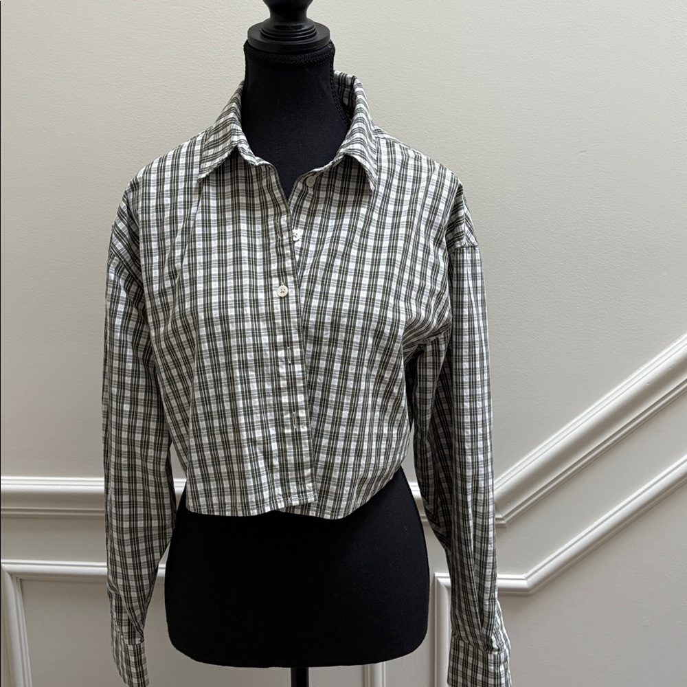 Aritzia Sunday best cropped shirt